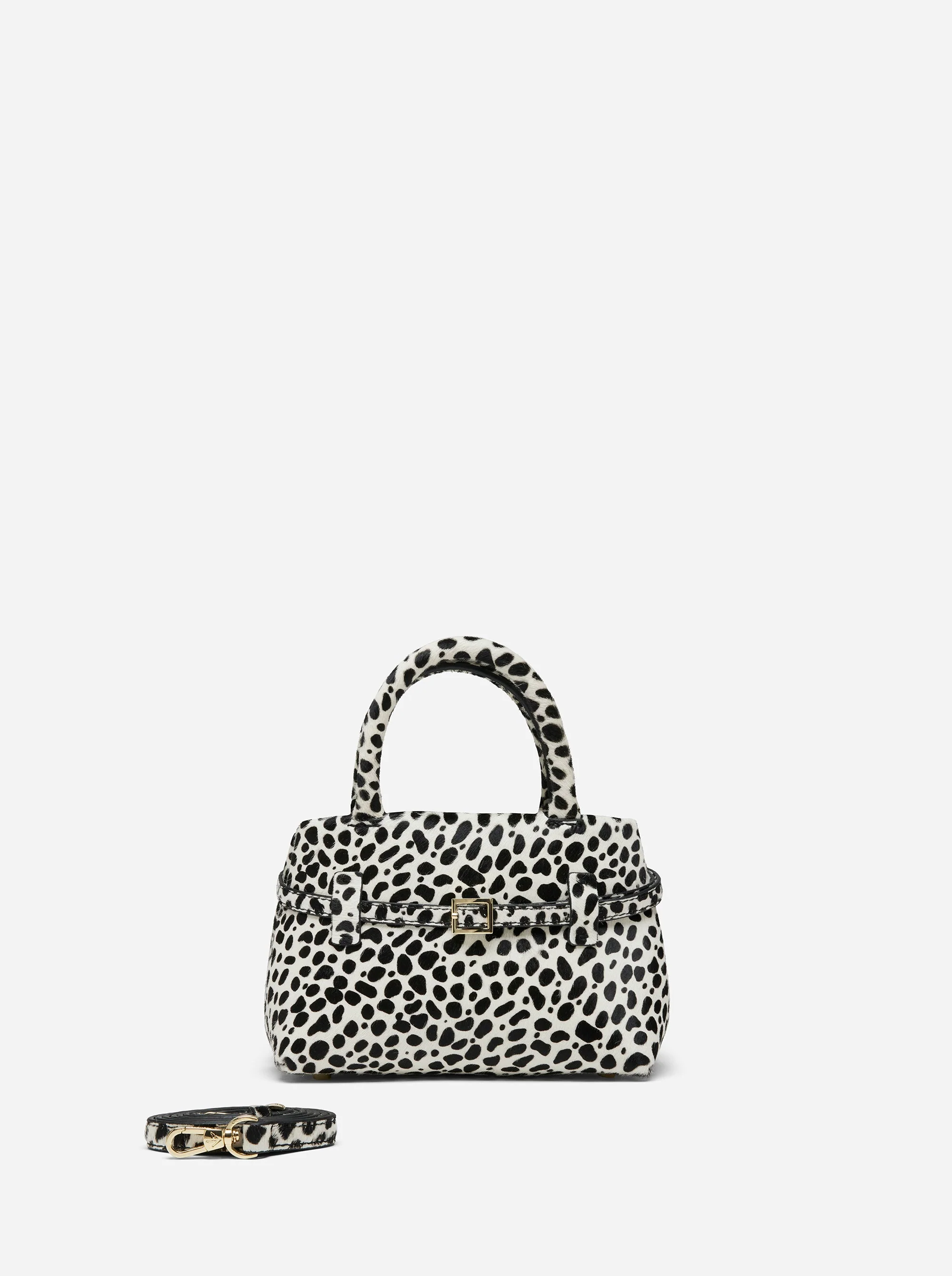 Le Cambon 20 Dalmatian